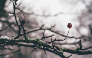So I’m almost at 105 million views on my collection of photos over on Unsplash. Grab them via unsplash.com/ShaneRounce…