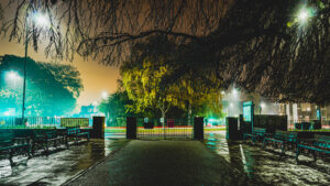 What it usually looks like when I walk Ozzy, at 4am, in Endcliffe Park. https://twitch.tv/ShaneRounce