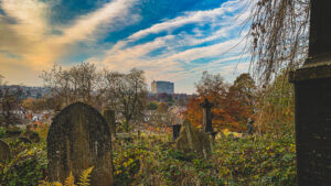 Some photos from walking Ozzy, at Sheffield General Cemetery, that I edited on stream the other day. https://twitch.tv/…