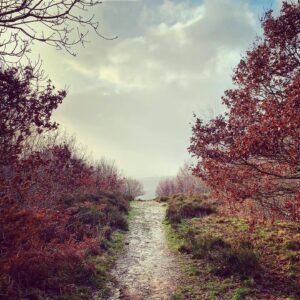 I’ve not really had the time to focus on photography much recently as I’ve been busy with work and improving my health.…