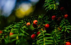 So I’m almost at 105 million views on my collection of photos over on Unsplash. Grab them via unsplash.com/ShaneRounce…
