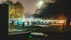 What it usually looks like when I walk Ozzy, at 4am, in Endcliffe Park. https://twitch.tv/ShaneRounce