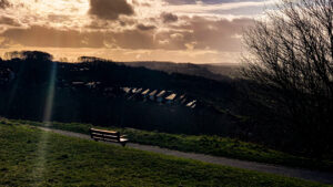 Bench with a view.