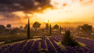 Provence at Dawn. Since everyone else was spamming photos of Provence, I decided I should probably have a go too. So he…