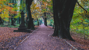 Some photos from walking Ozzy, at Sheffield General Cemetery, that I edited on stream the other day. https://twitch.tv/…