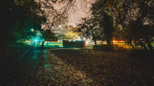 What it usually looks like when I walk Ozzy, at 4am, in Endcliffe Park. https://twitch.tv/ShaneRounce