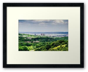 'Sheffield, City in the Trees' Framed Print by Shane Rounce