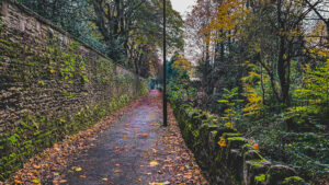 Some photos from walking Ozzy, at Sheffield General Cemetery, that I edited on stream the other day. https://twitch.tv/…