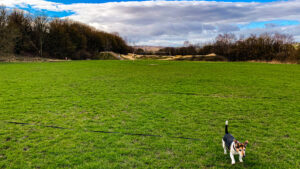 Ozzy is really enjoying getting used to his new locale and exploring Bole Hills! He's such a happy puppa! :D