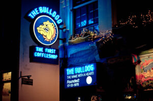 The Bulldog This place is a total tourist trap. Sure, it looks good and was apparently Amsterdam's first Coffeeshop but…