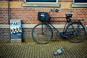 Bird and Bike Amsterdam