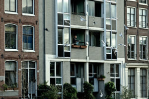 Feeding time. Amsterdam