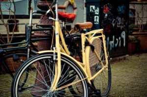 Leopard Print Bicycle Amsterdam