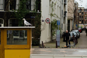 Getting on with things. Amsterdam
