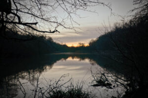Last Glimpse