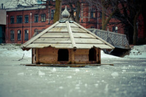 Bird Hut