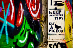 KEEP SHEFFIELD TIDY, EAT A PIGEON