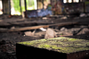 Last of the Yellow Brick Road.