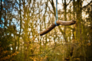 Rope Swing