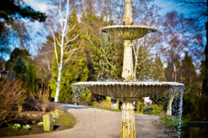 The Fountain Sheffield Botanical Gardens