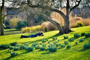 Lazy Day Sheffield Botanical Gardens