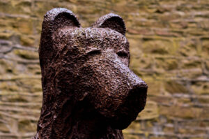 Bear Sheffield Botanical Gardens