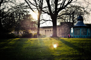 Sun Kissed Western Park, Sheffield