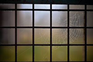 Trapped Dew