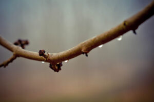 Droplets