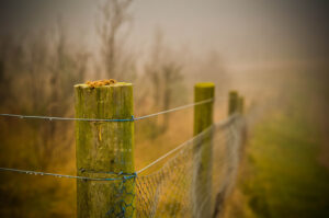 Hill Posts