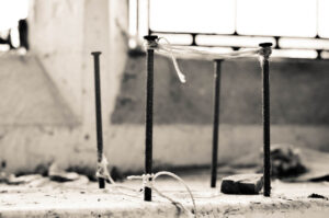 Bird Trap