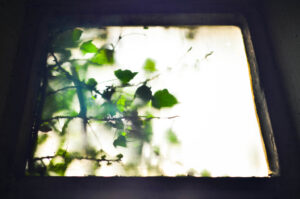 on the outside.
