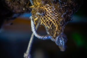 decaying fabrics