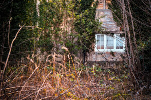 Window in the Wall