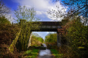 The Path below