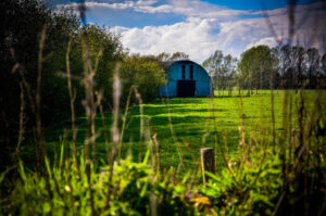 On the Farm