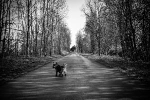 Walkies!