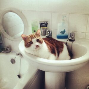 Went for a piss, this was waiting. (Taken with instagram)