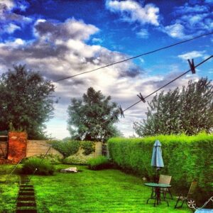 The Garden (Taken with Instagram)