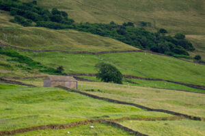Farm Walls