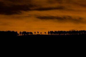 Sunset Horizon