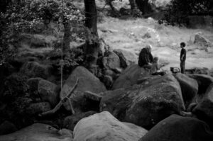 The Rope Swing