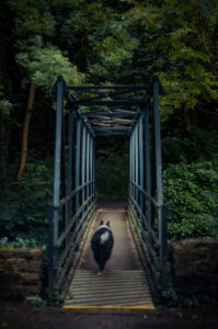 Walkies!