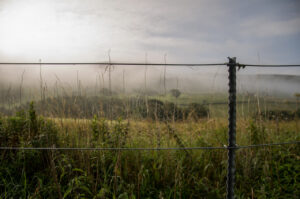 Back Tor Camp Site fence post Morning Mist