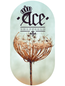 COMPETITION TIME To kick off the Launch of 'Ace, Sheffield', I'm giving away 3 tees! HOW TO ENTER: Simply Like and Shar…