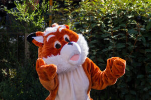The Charity Fox Sharrow Vale Market - 7th October '12