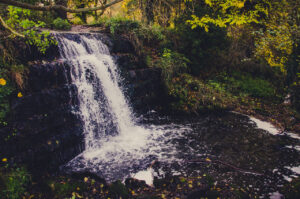Roche Abbey Waterfall