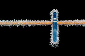 Chilly Peg A Clothes Peg and Washing line covered in ice crystals.