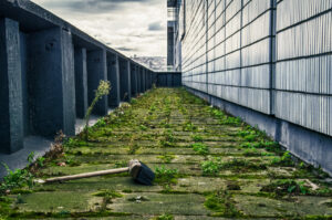 Abandoned Brush An abandoned brush head, on the emergency exit walkway surround the Odeon, in Sheffield. The outline of…