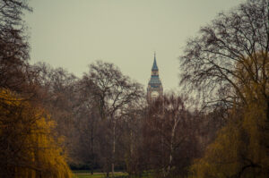 Big Ben, London Seen through St. James Park, from Buckingham Palace